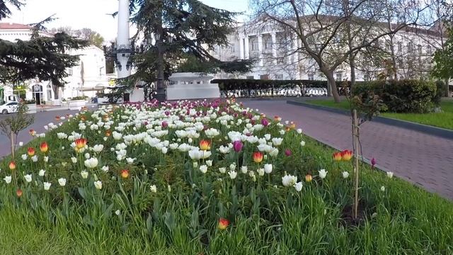 Парад тюльпанов в Севастополе. Крым смотреть онлайн