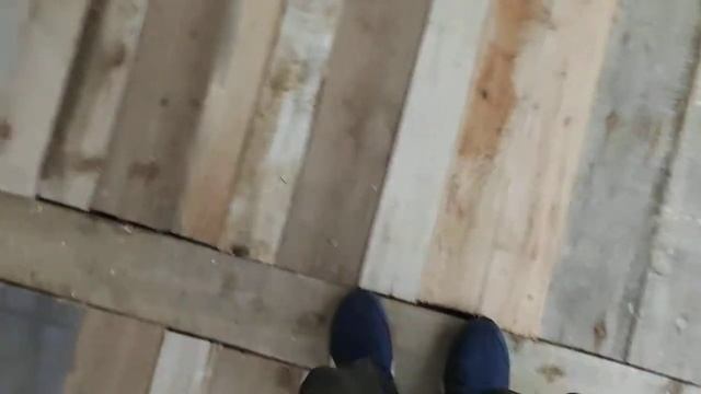 23 октября 2022 г. смотреть онлайн