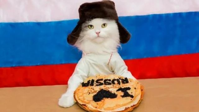 Коты Советского Союза-ЛЕГЕНДЫ!!!
