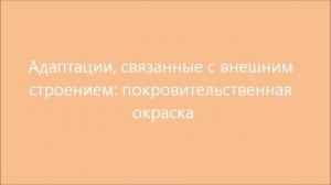 Приспособленность организмов к среде обитания
