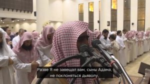 Сура Йа Син. Мухаммад люхайдан