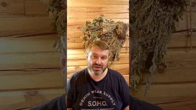 Урок 27. Вода. Применение воды в Бане. смотреть онлайн