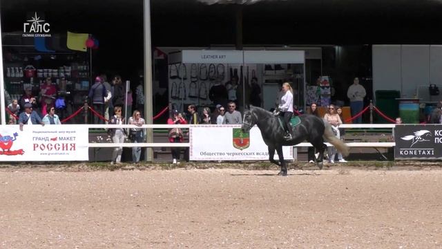 Галоп на Кассиопее ►лошадь породы першерон #ИППОсфера 2023 смотреть онлайн