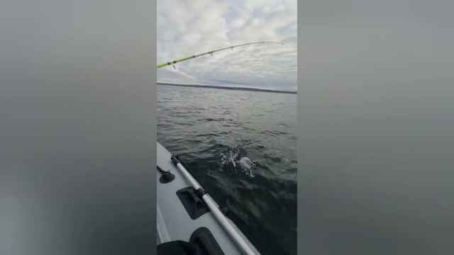 лов Трески,Балтийское море)))) смотреть онлайн