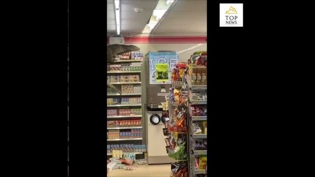 В Тайланде гигантская ящерица (варан) посетила супермаркет смотреть онлайн