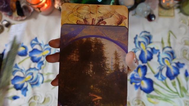 THE LUNAR NOMAD ORACLE - Deck Review - DESIGNED TO UNLOCK YOUR CREATIVITY AND AWAKEN YOUR INTUITIO смотреть онлайн