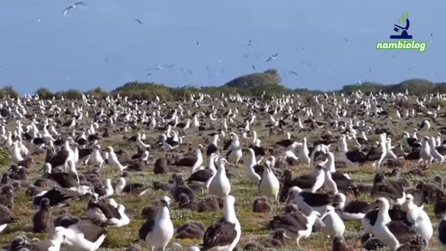 10-sinf. Yashash Uchun Kurash Va Uning Turlari@nambiolog.mp4