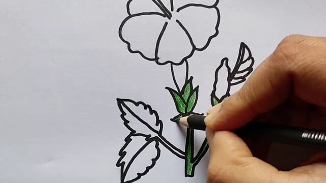How to draw a Hibiscus flower II China rose Drawing II Joba ful Hibiscus Drawing. смотреть онлайн