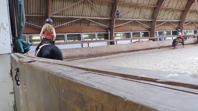 Un cours de dressage avec nous смотреть онлайн