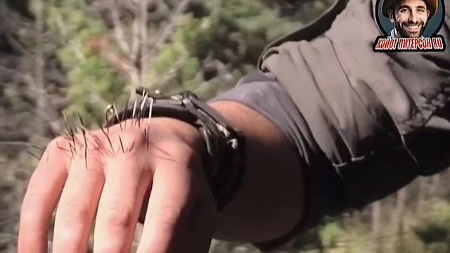 ❗? УКУС ДИКОБРАЗА ❗? смотреть онлайн