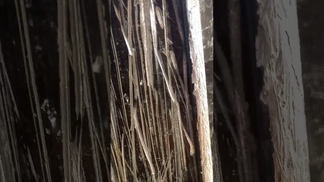 обзор самокатов смотреть онлайн