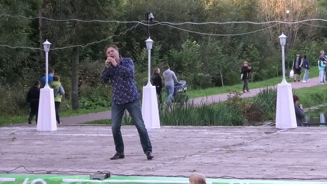 Юрий Самохвалов - " Где ты, Золотое Лето " (Д.Усманов). смотреть онлайн