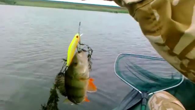 Pontoon 21  Crack Jack78