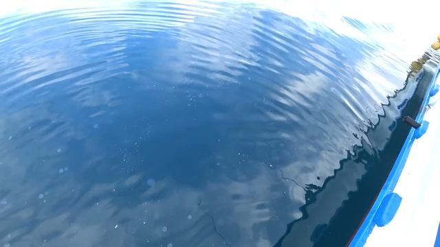 Ловля камбалы. Уссурийский залив. Дальний восток смотреть онлайн