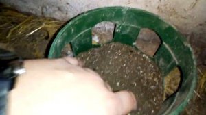 Витамины и минералы для голубей своими руками