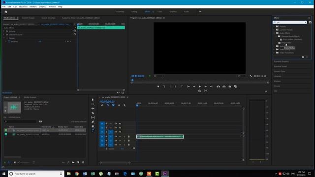 Как изменить голос в Premiere Pro смотреть онлайн