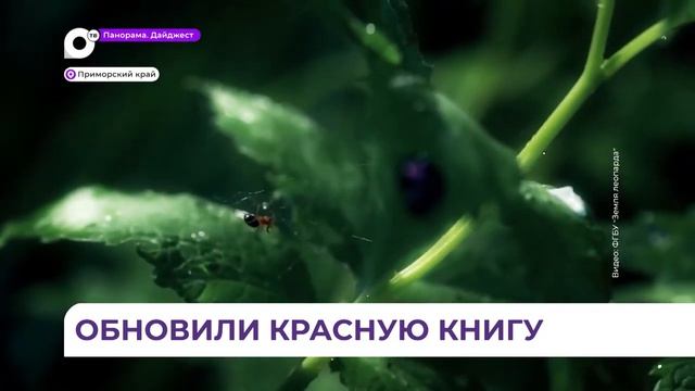 В Красной книге Приморского края произошли изменения смотреть онлайн