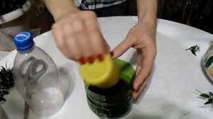 Мирт. Размножение черенками.