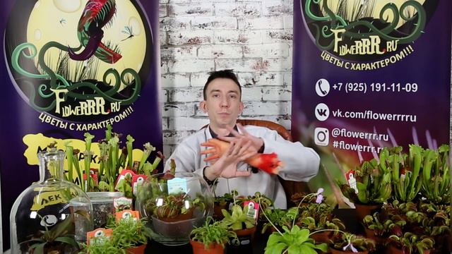 Моё участие в кинофестивале Ужасов