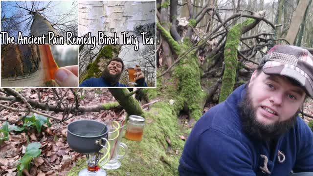 The Western Red Cedar Tree - A Guide To Medicine, Mythology & Identification ?(Thuja plicata) смотреть онлайн