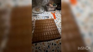 Фарш для цихлид