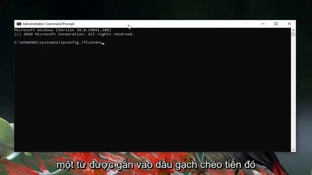 Cách khắc phục lỗi 403 của Google Chrome смотреть онлайн