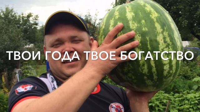 Князев Дмитрий Игоревич смотреть онлайн