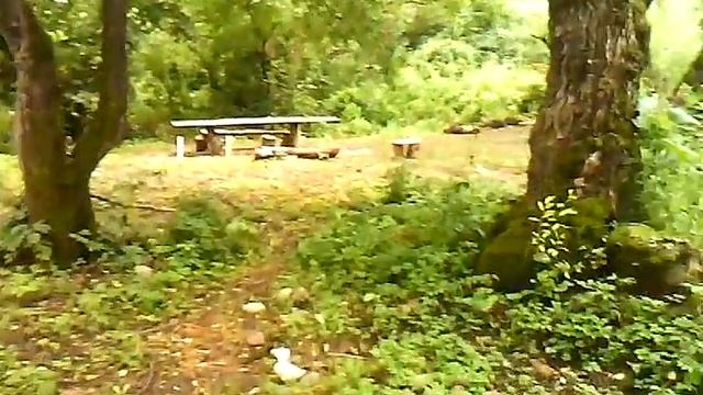 заброшенный город смотреть онлайн