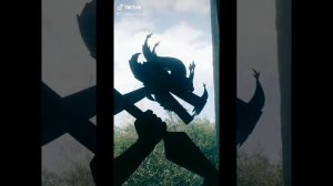 драконы из тт (не мои)