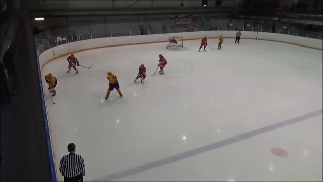 НМХЛ’16/17: «Локо-Юниор» - «Дизелист» - 1:2 смотреть онлайн