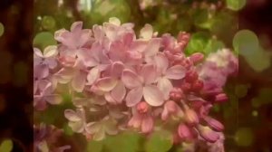 Фристайл С Днём Рождения мама