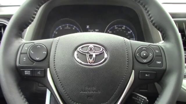 2017 Toyota RAV4 for Randy from Tom B смотреть онлайн