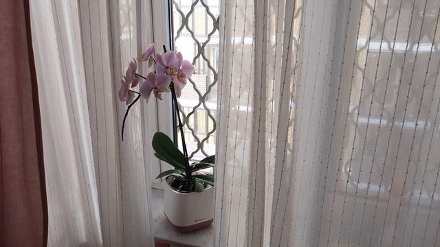 ПОКУПКИ ДЛЯ ДОМА 2020 / ИКЕА / ИДЕИ для ДОМА / НОВАЯ ВАННАЯ IKEA / МЕЧТА ХОЗЯЙКИ - НОВАЯ ПЛИТА NEFF смотреть онлайн