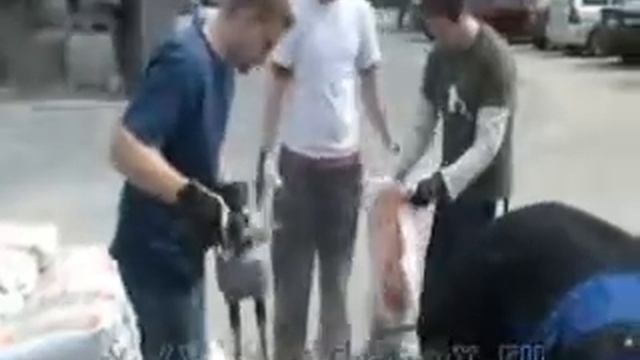 Работы по устройству наливного пола смотреть онлайн