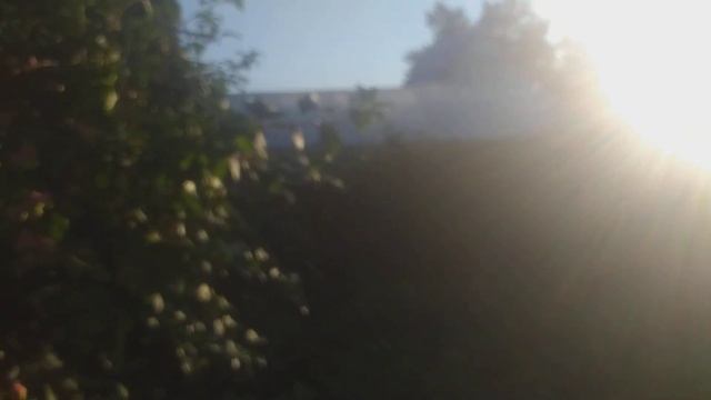 дача 81 смотреть онлайн