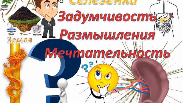 Теория У-Син. Пять органов и Пять настроений