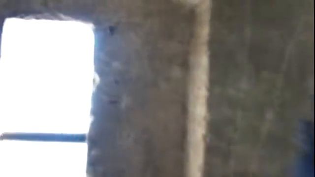 Шильон Сумасшедшие виды смотреть онлайн