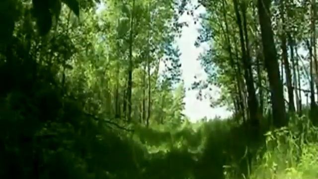 Трейллер к аддону ''Тень Копорья''... смотреть онлайн