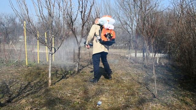 Tratament pomi fructiferi Toil si Mospilan 20 SG/Atomizor BSR la lucru 19.02.2019 смотреть онлайн