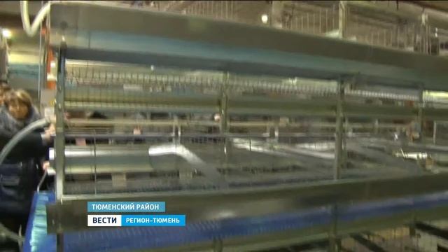 В Тюменской области развивается сельскохозяйственный 