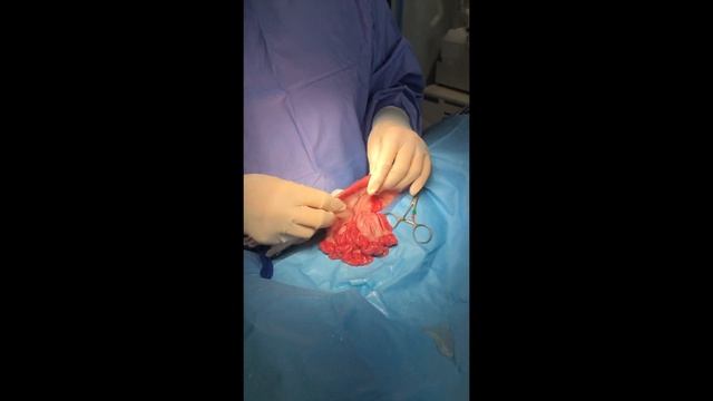 Linear Foreign Body Red Rubber Technique смотреть онлайн