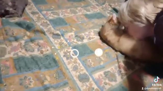 Мой ласковый и нежный зверь... смотреть онлайн