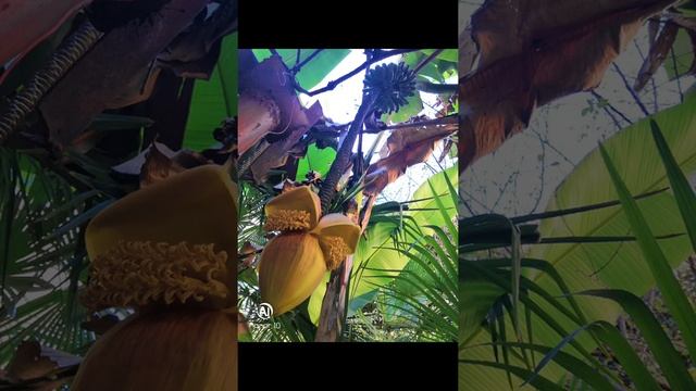 Красивые фото смотреть онлайн