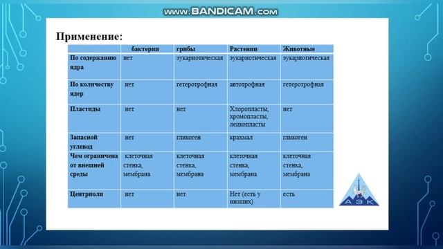 Ботагоз Курбановна - Особенности структуры и функции клеток бактерий, грибов, растений и животных. смотреть онлайн
