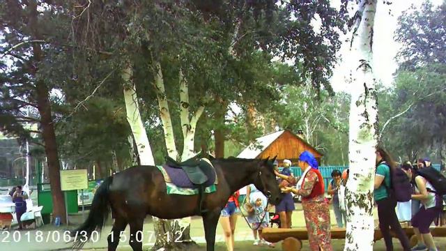 Бурятский народный ритуал освящения коня шаманом смотреть онлайн