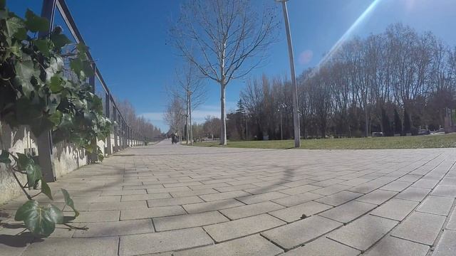 Free&Wild Penny Time #1 смотреть онлайн