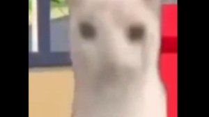 кот ест чипсы | мем