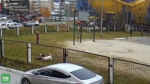 Нападение собаки на детей