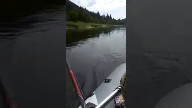 Ловля хариуса на дорожку с лодки смотреть онлайн