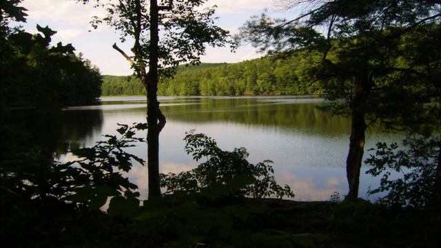 Improvisation #84 for Poly Evolver Keyboard and Prophet '08 смотреть онлайн